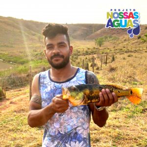 piriguito